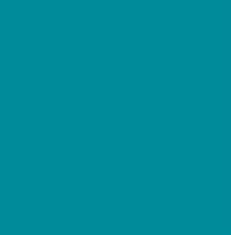 Vinyl Oracal 641 300mm Permanent Signage Turquoise blue 066