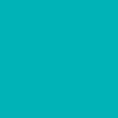 Vinyl Ritrama Italy 5yr Signage MATT Aqua Green M176