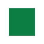 Vinyl Oracal 641 300mm Permanent Signage Grass Green 068