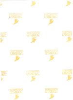 Transfer for T-Shirt - Vision Inkjet Light colors 50pc A4 (PU)