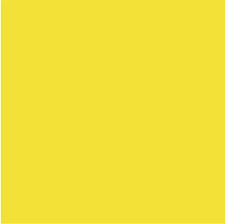 Vinyl Oracal 641 300mm Permanent SignageBrimstone Yellow 025