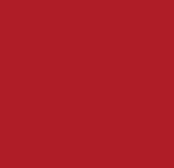 Vinyl Oracal 651 5yr Signage Red 031 1260mm