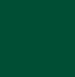 Vinyl Oracal 651 5yr Forest Green 613