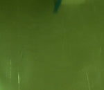 Vinyl HTV Chrome Green Gold Chinese