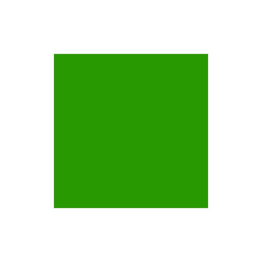 Vinyl Oracal 641 300mm Permanent Signage Yellow Green 064