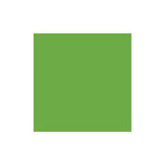 Vinyl Oracal 641 Permanent Signage 300x300mm (3 Sheets) Lime Tree Green 063