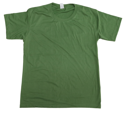 T-shirt 180 gram Basil Green Large