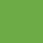 Vinyl Oracal 641 300mm Permanent Signage Lime Tree Green 063