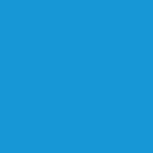 Vinyl HTV Siser Flex Italy 250mm / 10inch Sky Blue 011