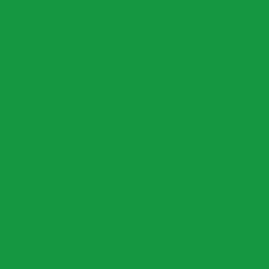 Poli-Cut 5yr Permanent Signage Matt 300mm Green 6141