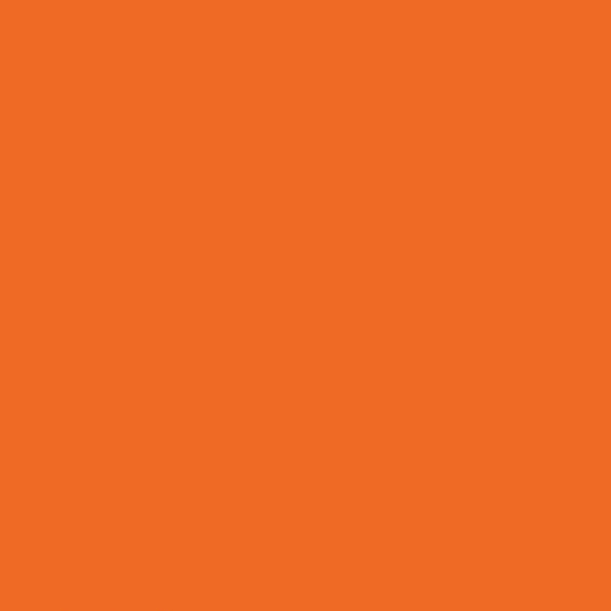 Vinyl Oracal 651 5yr Signage Light Orange 036