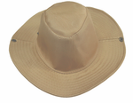Cap Cricket Camel