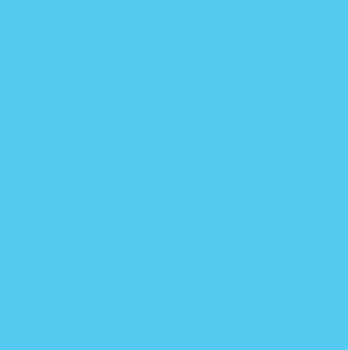 Vinyl Oracal 641 300mm Permanent Signage ice blue 056