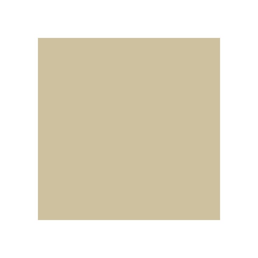 Vinyl Oracal 641 Permanent Signage 300x300mm (3 Sheets) Beige 082
