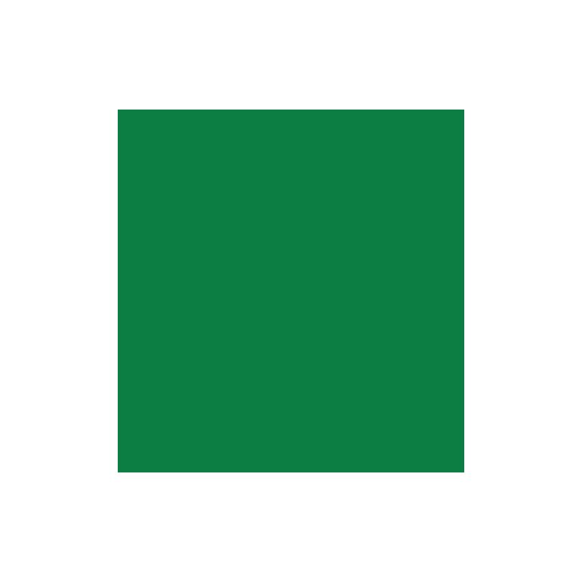 Vinyl Oracal 641 Permanent Signage 300x300mm (3 Sheets) Grass Green 068