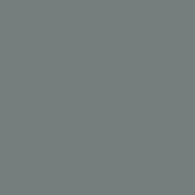 Vinyl Oracal 641 Permanent Signage 300x300mm (3 Sheets) Grey 071