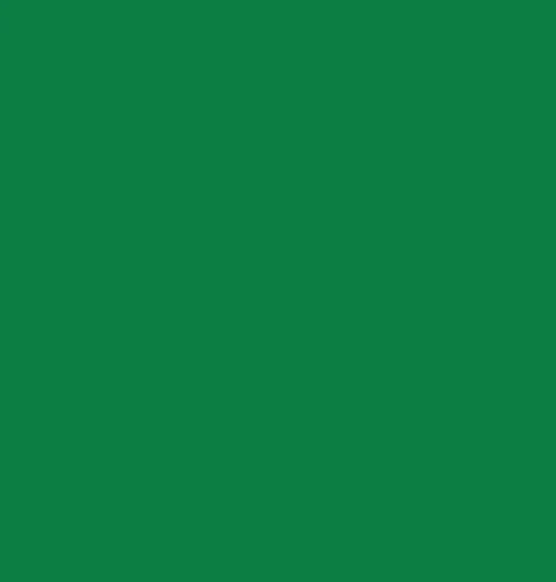 Vinyl Oracal 651 5yr Grass Green 068