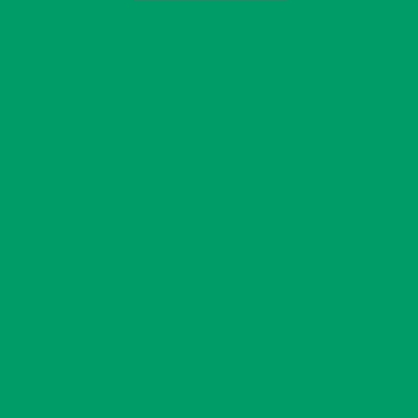 Vinyl Oracal 651 5yr Signage Light Green 062