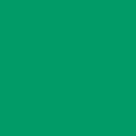 Vinyl Oracal 651 5yr Signage Light Green 062