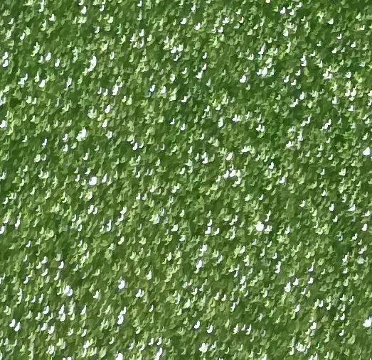 Vinyl HTV Glitter Light Green