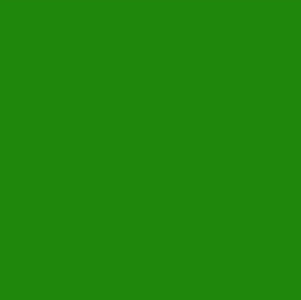 Poli-Cut 5yr Permanent Signage Matt 300mm Bright Green 6145