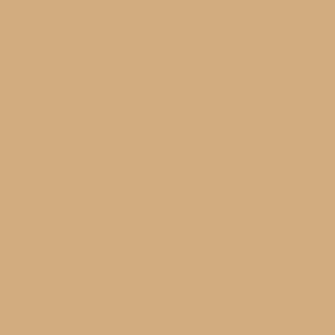 Vinyl Oracal 641 3yr Signage Light Brown 081