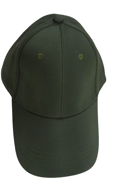 Cap Golfers Polyester 6 Panel Olive