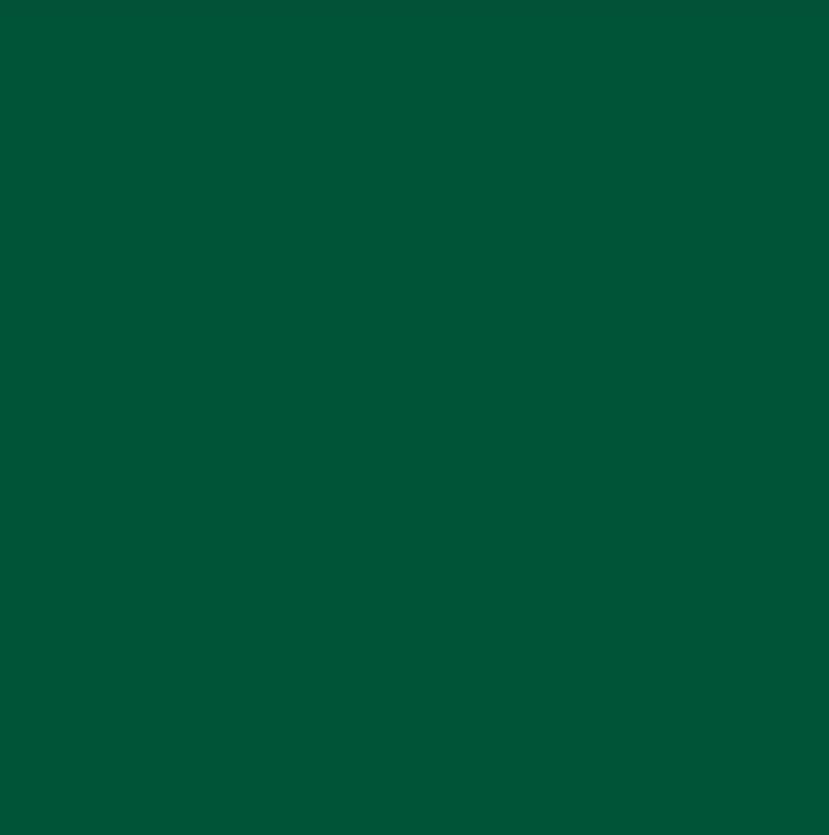 Poli-Cut 5yr Permanent Signage Matt 300mm Forest Green 6142
