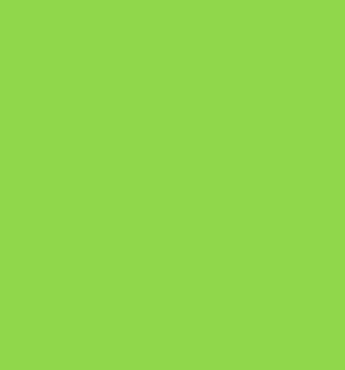 Poli-Cut 5yr Permanent Signage Matt 300mm Light Green Lime 6144